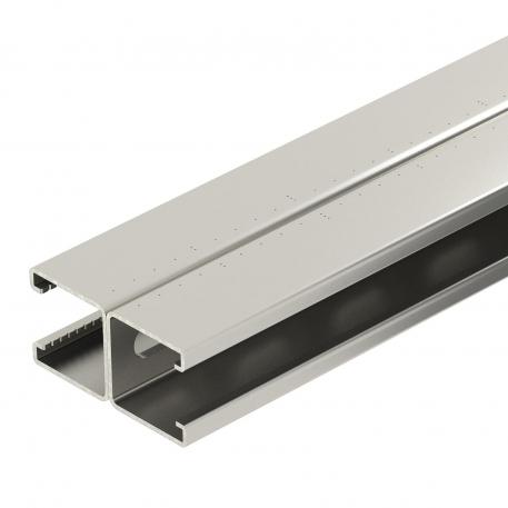 Montagerail MS4182, sleuf 22 mm, dubbel, A2, geperforeerd 