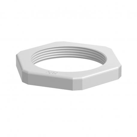 Tegenmoer, PG-schroefdraad, lichtgrijs Pg_36 | 60