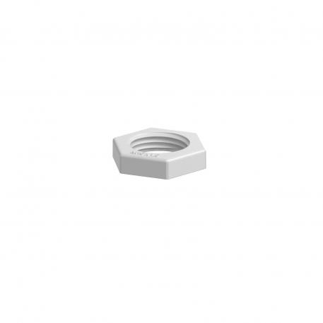 Tegenmoer, metrische schroefdraad, lichtgrijs M16_x_1,5 | 22