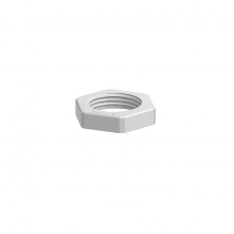 Tegenmoer, metrische schroefdraad, lichtgrijs M20_x_1,5 | 26