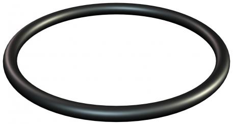 O-ring voor metrische aansluitschroefdraad  | 32