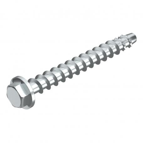 Zeskantanker MMS-plus SS 10x100, met opgeperste ring 100 | 10 x 100 | 8 | 19 | 13 | zeskant (hexagonaal)