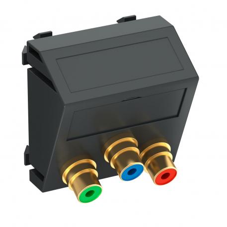 Component video aansluiting, 1 module, schuine uitlaat, koppeling 1:1, zwartgrijs schuin |  | Cinch | Zwartgrijs; RAL 7021