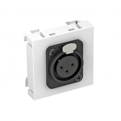 XLR-aansluiting, 1 module, rechte uitlaat, bus 3-polig, met schroefverbinding, helder wit