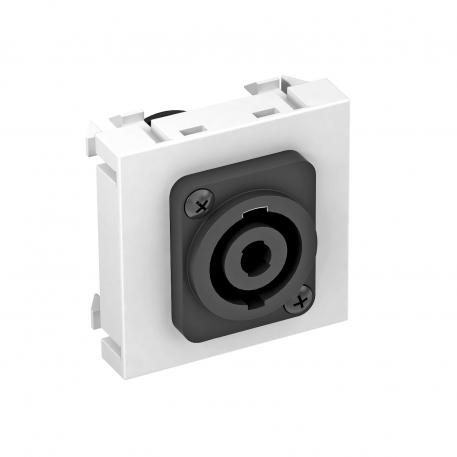 Speakon aansluiting, 1 module, rechte uitlaat, 4-polig, met schroefverbinding, helder wit  |  | XLR | zuiver wit; RAL 9010