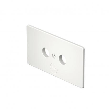 Afdekplaat antennedoos SL BL ANT zuiver wit; RAL 9010