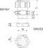 morepic-4